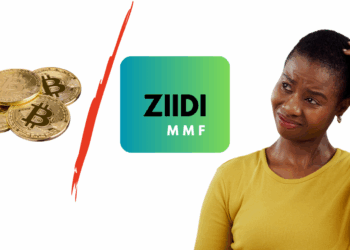 Investing in Bitcoin or Safaricom's Ziidi MMF